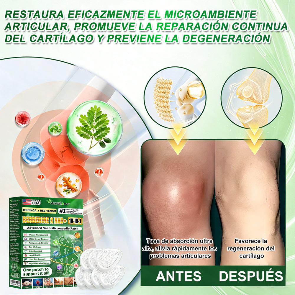 Tienda Oficial de EE. UU. 🇺🇸 | 🧑‍⚕️🩺 Curalona® Moringa · Berberina × NAD+ Parche de Nano-Microagujas Avanzado 10 en 1 — Una vez al día, resultados visibles en 7 días