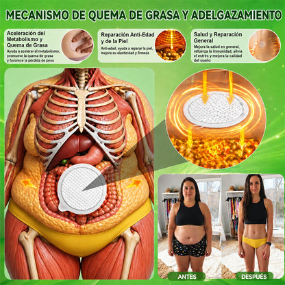 Tienda Oficial Insignia de la Marca | Parche Adelgazante de Nanagujas de Fósforo Negro Curalona® — Fórmula 12 en 1: Berberina + NMN + Vinagre de Sidra de Manzana | Promueve la quema de grasa | ¡Resultados visibles en solo 7 días!