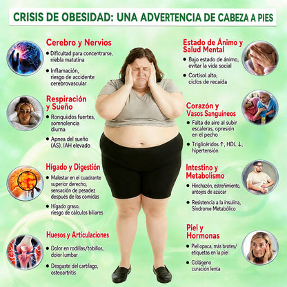Tienda Oficial de EE. UU. 🇺🇸 | 🧑‍⚕️🩺 Curalona® Moringa · Berberina × NAD+ Parche de Nano-Microagujas Avanzado 10 en 1 — Una vez al día, resultados visibles en 7 días