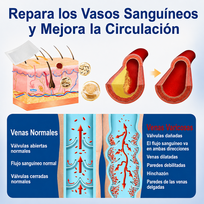 🇺🇸🏆👨‍⚕️✨ Parche de microagujas CURALONA® VeinTarget ⚡ Alivio rápido, apoyo duradero
